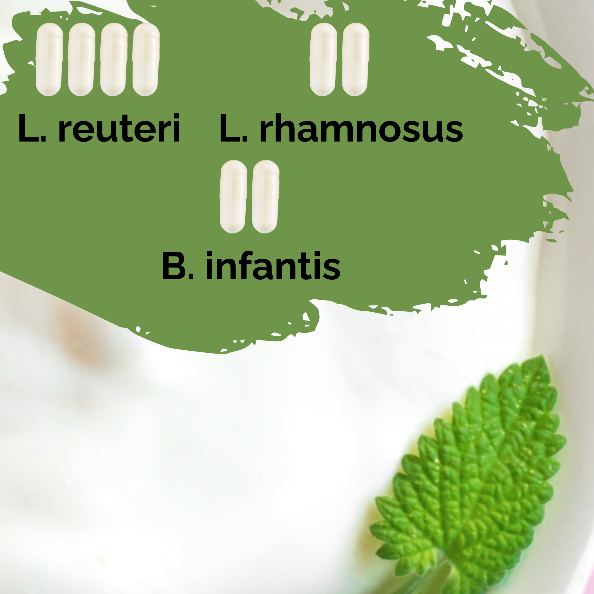 L. reuteri + L. rhamnosus + B. infantis | Yogurt Starter Set | Happy Gut | Starter Cultures | Pack of 3