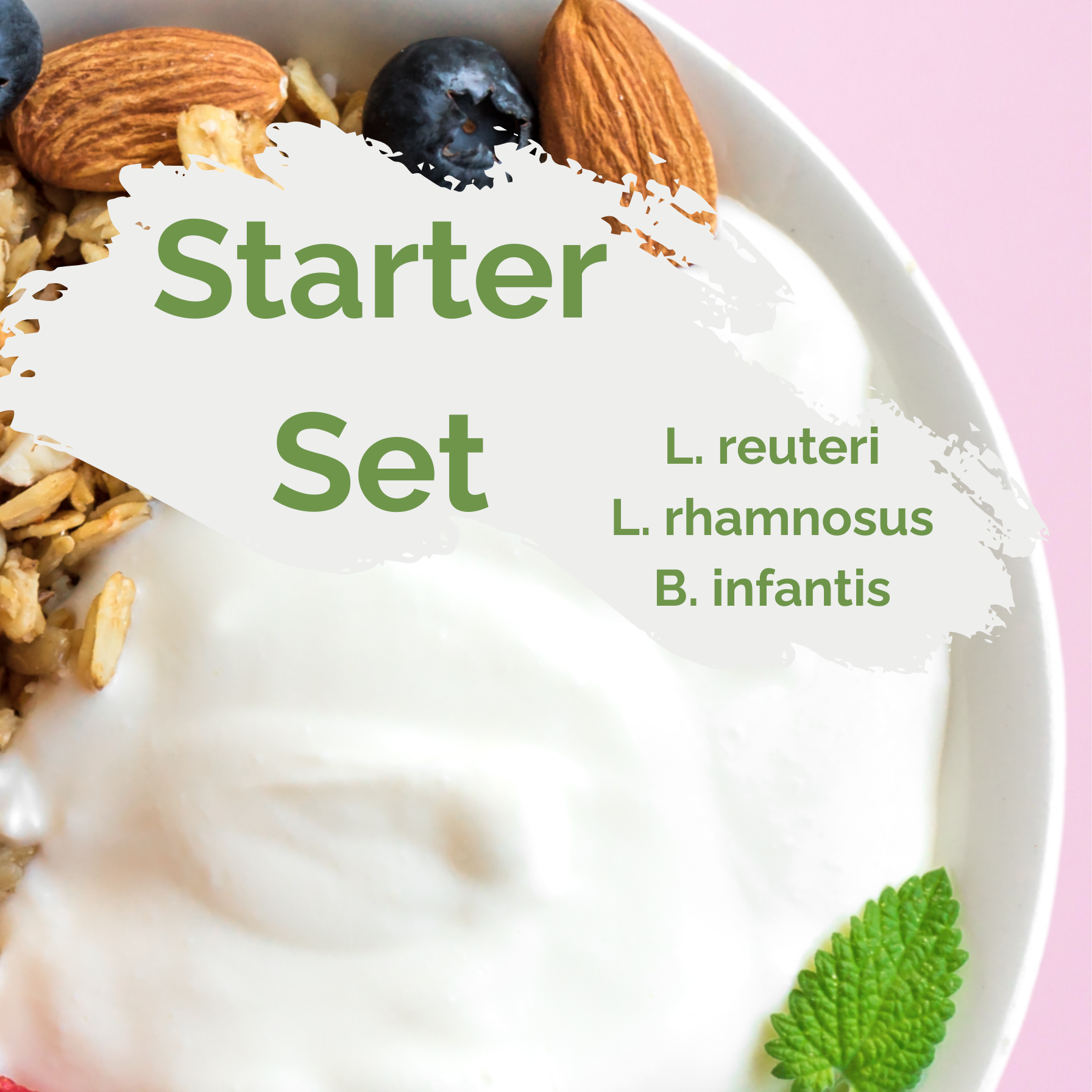 Zestaw startowy „Happy Gut” | do przygotowania jogurtu L. reuteri, L. rhamnosus, B. infantis