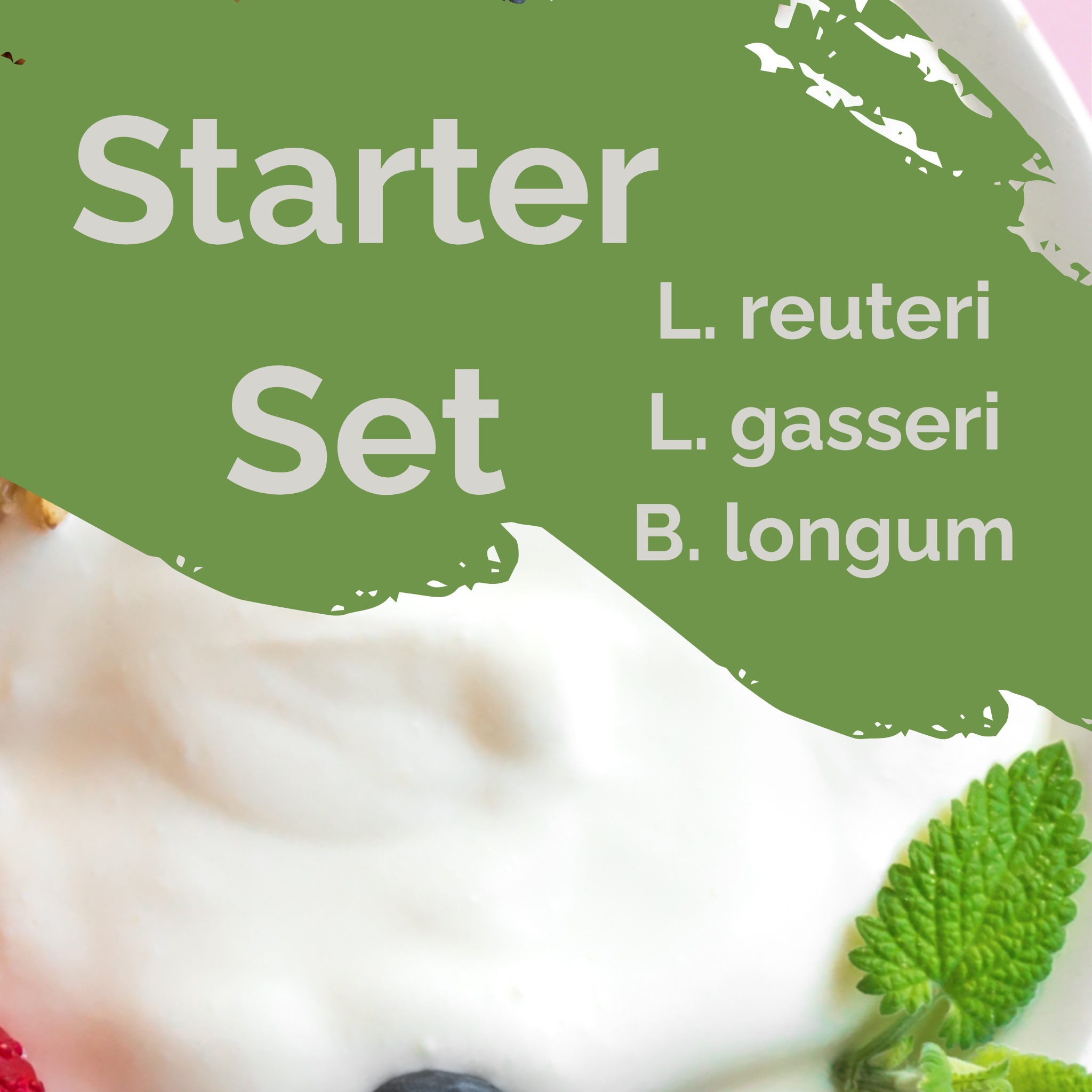 L. reuteri + L. gasseri + B. longum | Yogurt Starter Set | Light Gut | Starter Cultures | Pack of 3